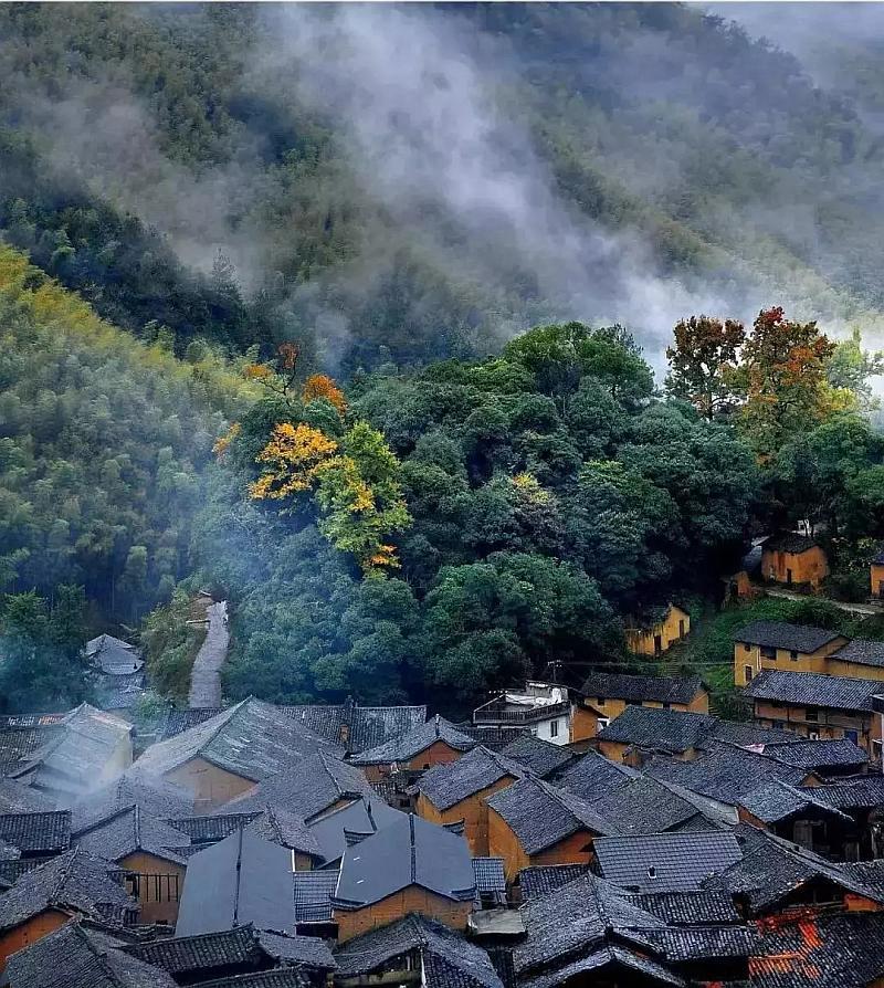 黎明杀机